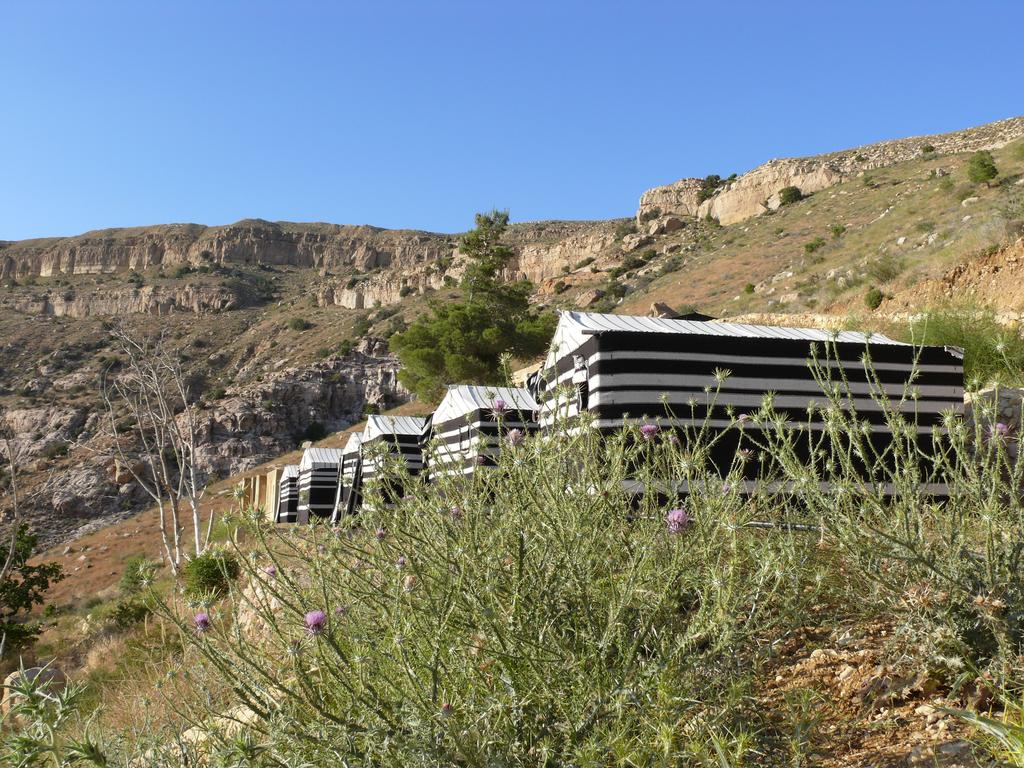 Wadi Dana Eco-camp